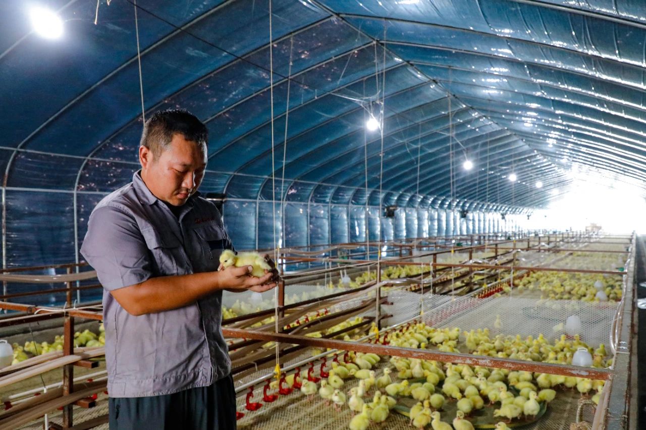 /gb2312/qishiyegonghui/17913.html